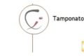 Tamponato Comércio de Peles Tamponato Comércio de Peles