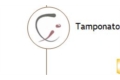 Tamponato Comércio de Peles